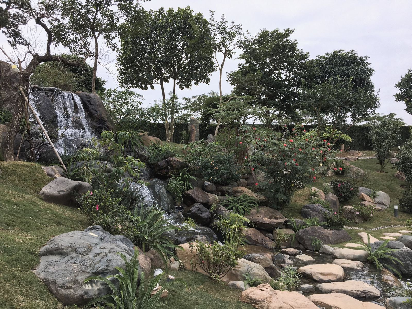 Thác nước đá tự nhiên