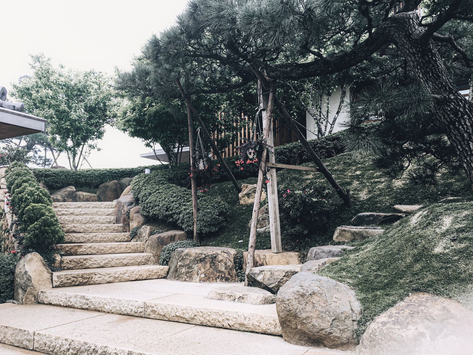 Bậc đá dẫn lên đồi dưới tán tùng